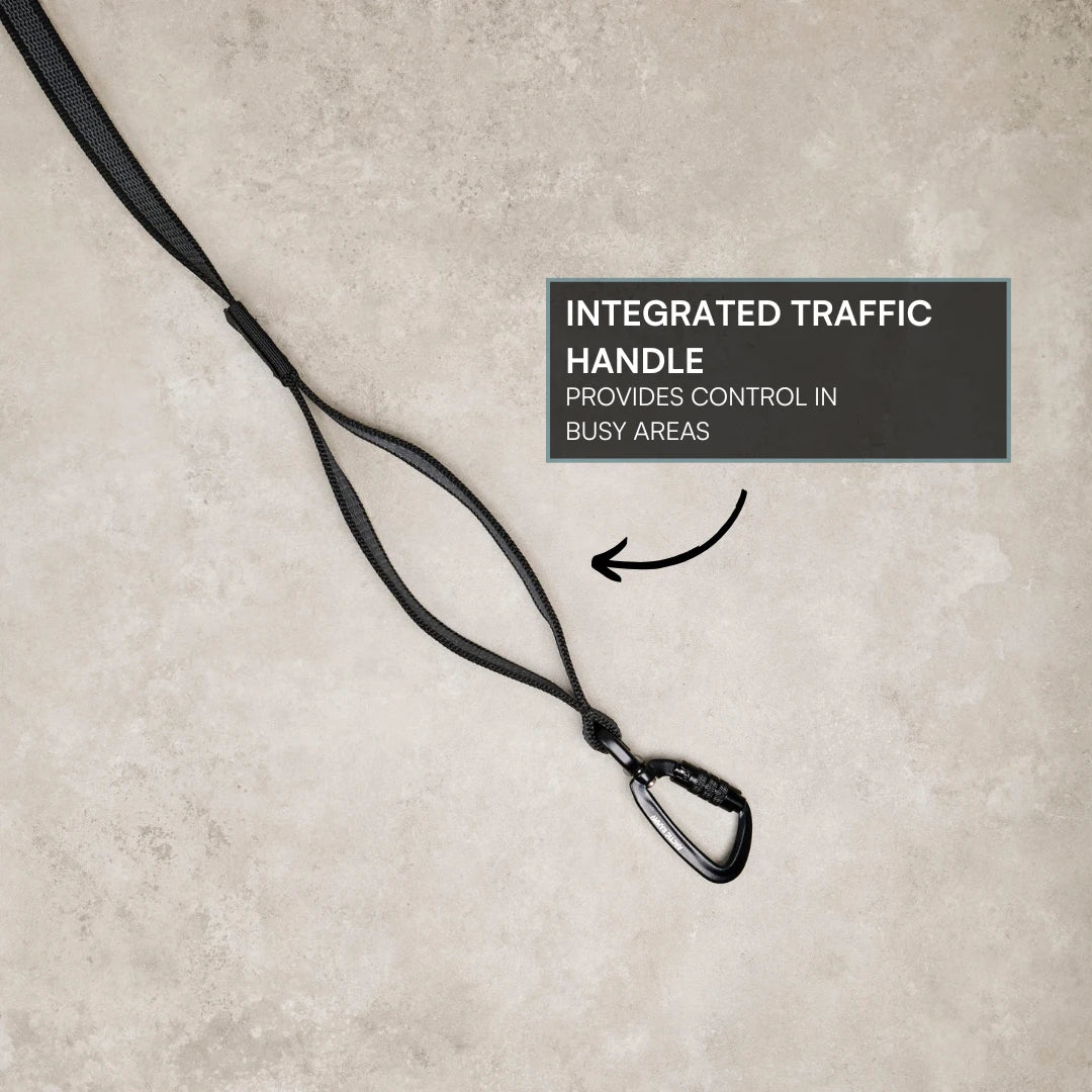 Orange Train and Recall Long Line Dog Leash