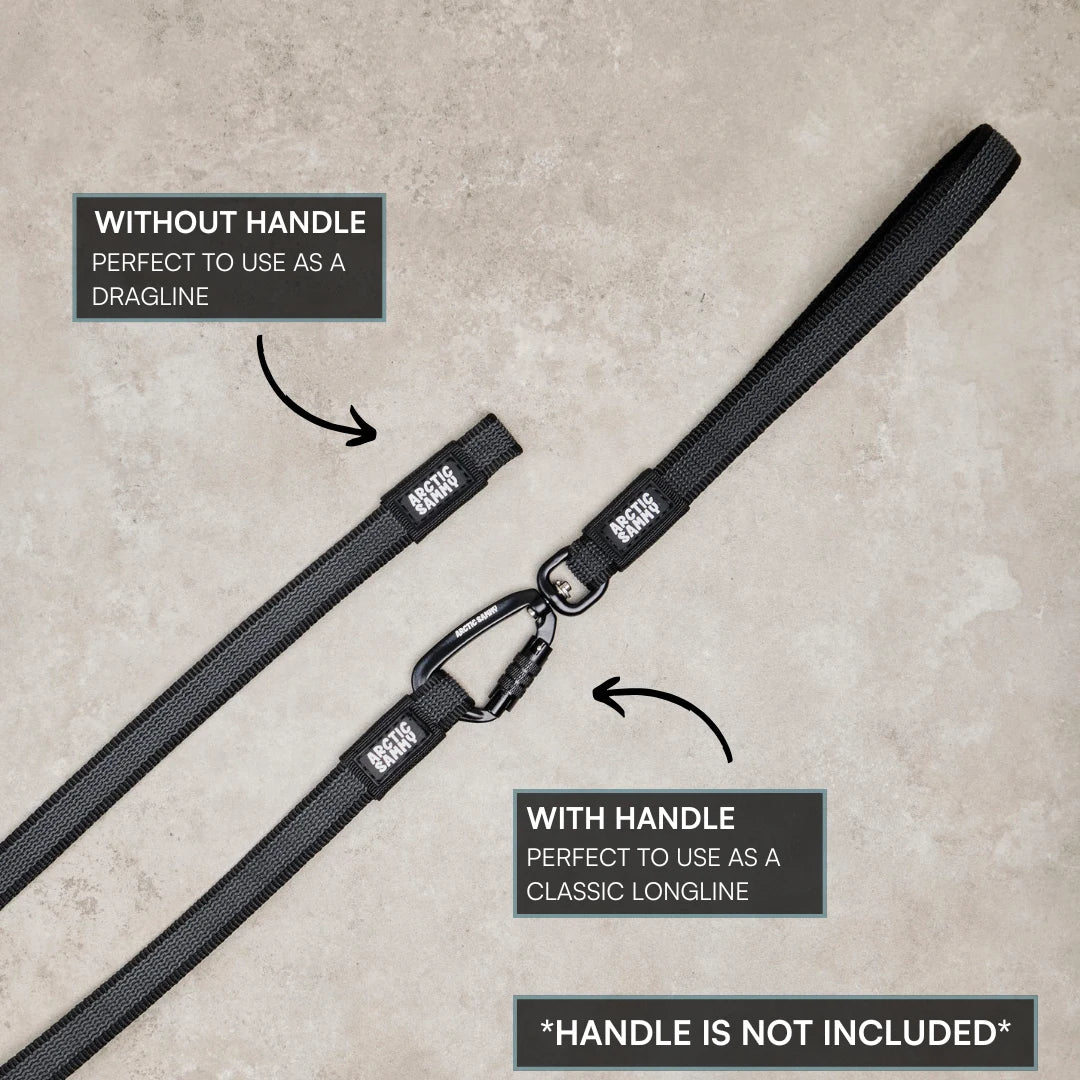 Orange Train and Recall Long Line Dog Leash