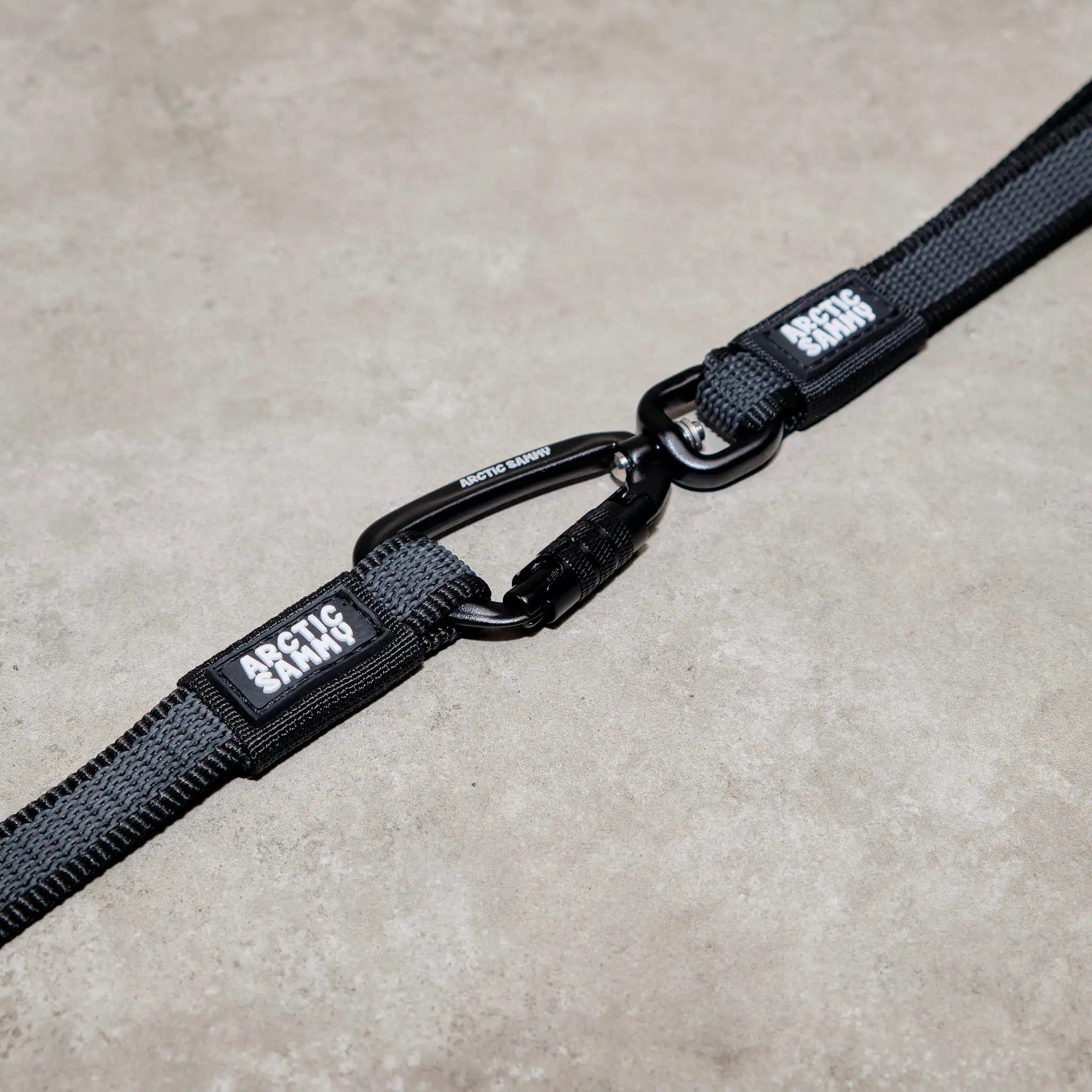 Orange Train and Recall Long Line Dog Leash