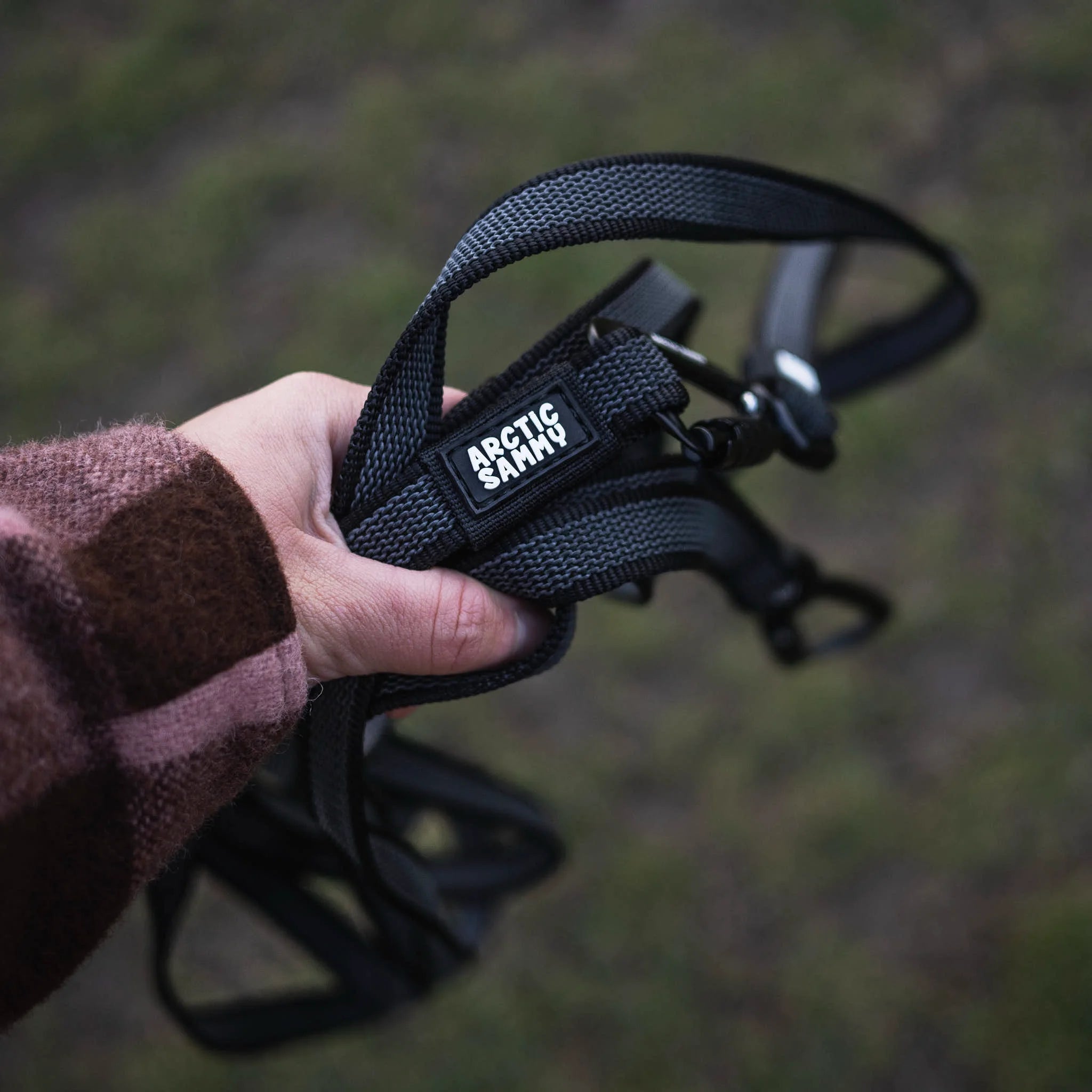 Orange Train and Recall Long Line Dog Leash