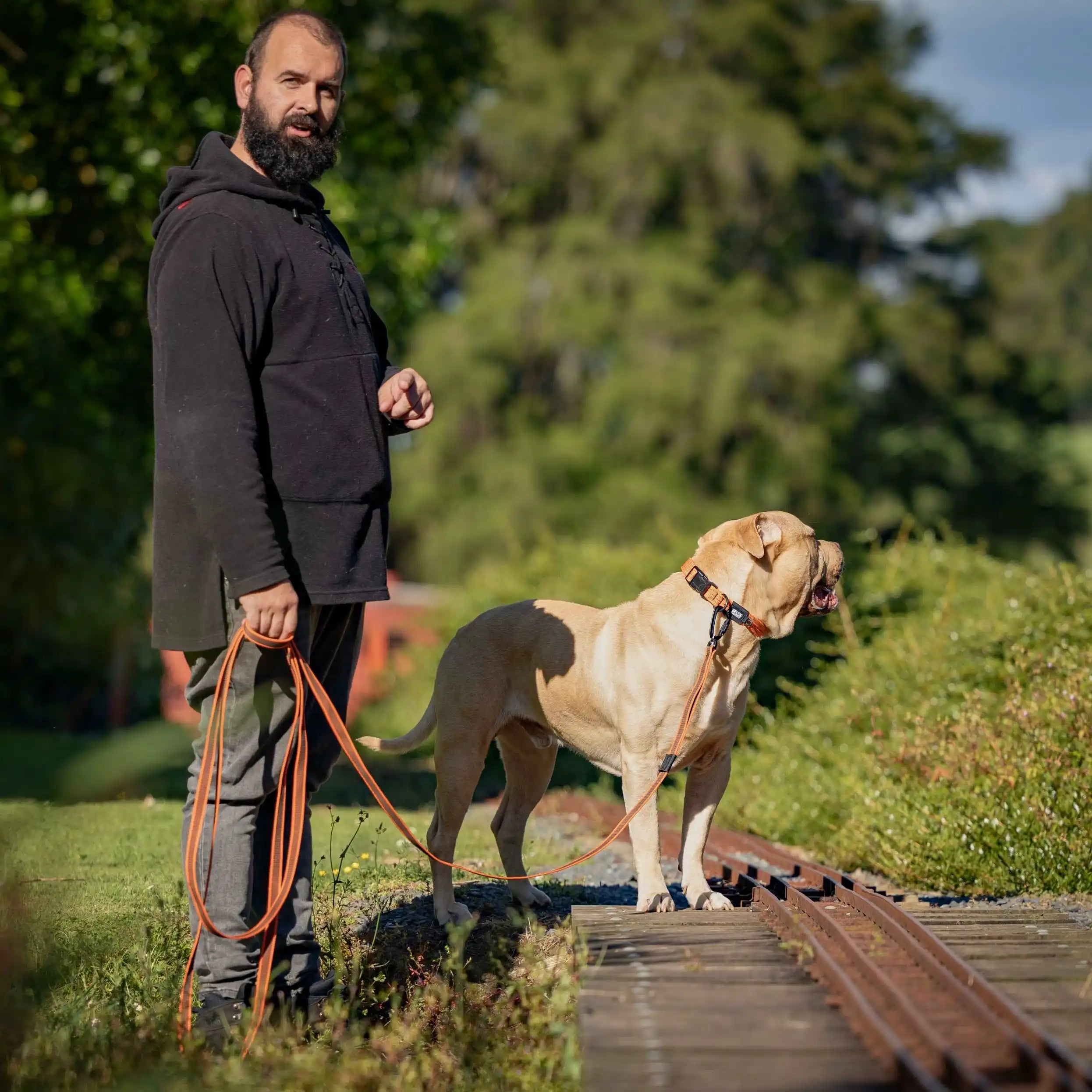 Orange Train and Recall Long Line Dog Leash