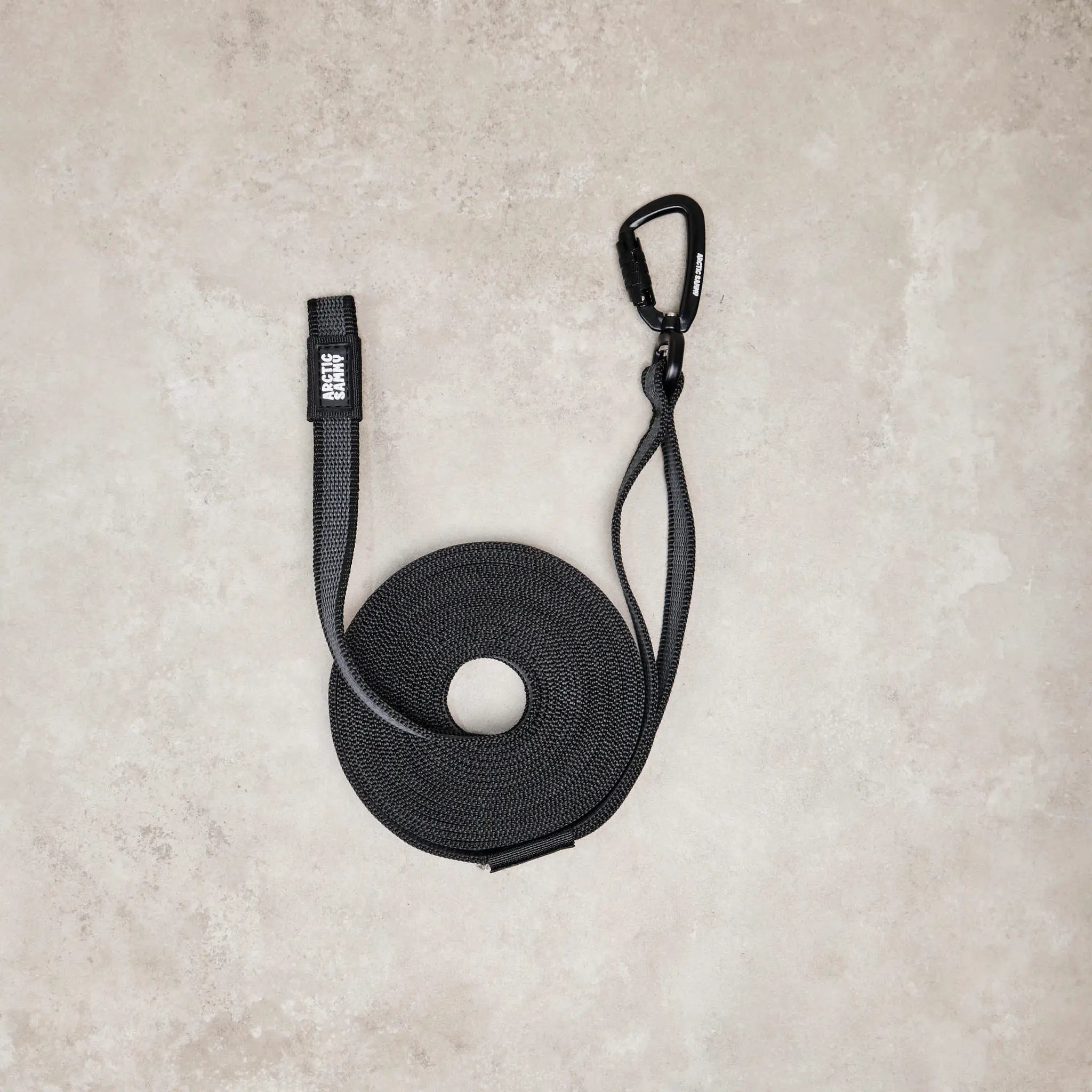 Black Train and Recall Long Line Dog Leash