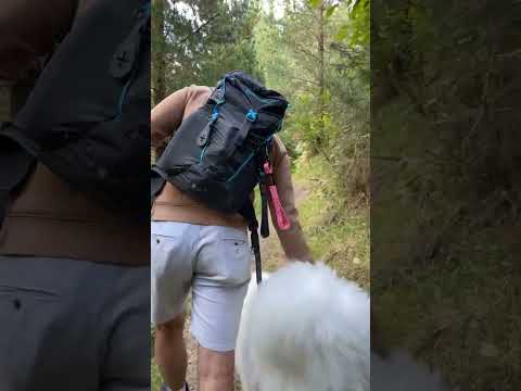 Mackenzie Transfer Leash